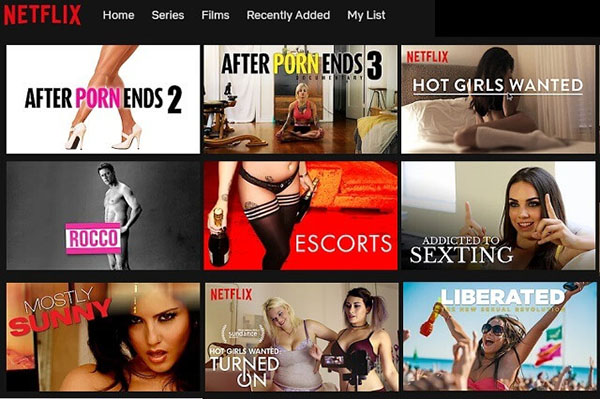 Netflix adult entertainment porn nudity