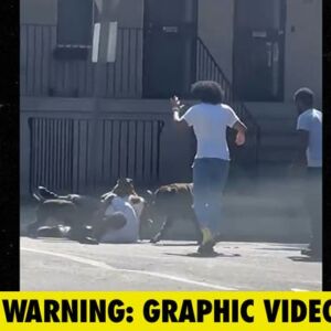 Cop Shoots at Pack of Dogs Attacking Man in the Street in Harrowing Video