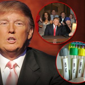 donald trump std main