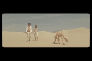 MGMT "Congratulations"