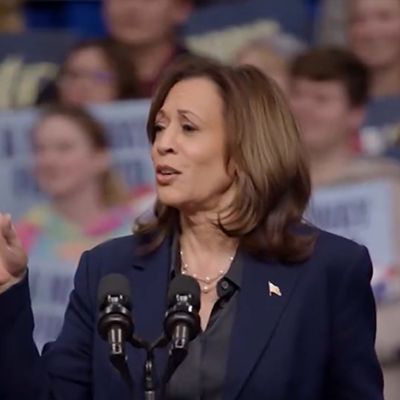 Kamala Harris Flames Hecklers, Tells Them to Go to 'Smaller' Trump Rally