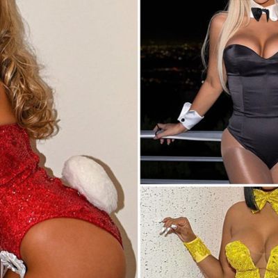 Sexy Celebunnies Costumes Guess Who ... Hop To It!