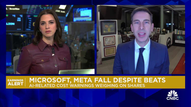 Meta already benefitting from AI but Microsoft still 'needs to find gold,' says DA Davidson's Luria
