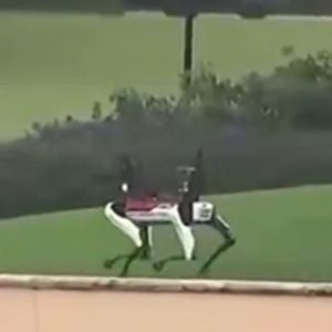 Secret Service Robot Dogs Protect Mar-a-Lago After Trump Win