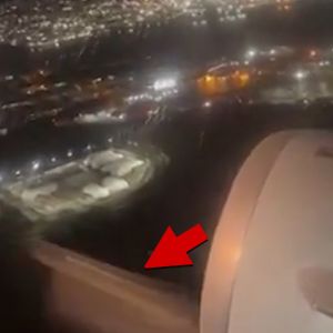 Bird Flies Into American Airlines Flight Engine, Caught on Camera