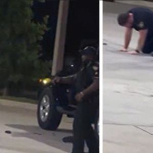 Florida Sheriff's Deputy Accidentally Shoots Partner With Taser, on Video
