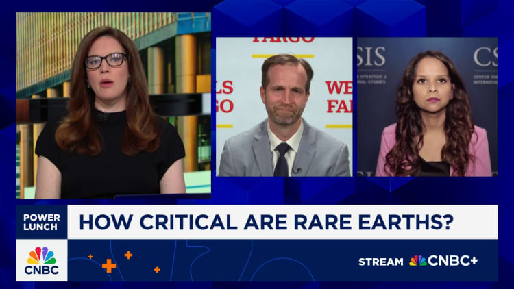 China's rare earths restrictions are a lot bigger issue than people realize: Wells Fargo's Langan
