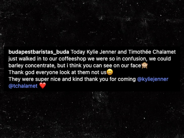 kylie jenner timothee chalamet instagram sub