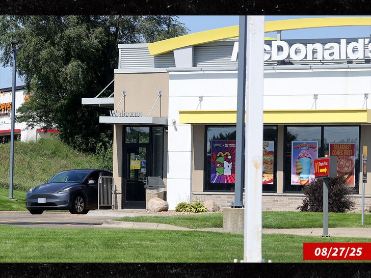 Conjoined Twins Abby & Brittany Hensel with New Baby at McDonald's sub mega swipe 1