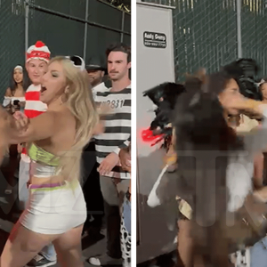 Sexy Women In Costumes Get Into Vicious Catfight At Halloween Party, Watch The Video