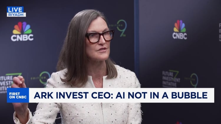 'I do not believe AI is in a bubble,' says Ark Invest's Cathie Wood