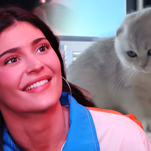 Kylie Jenner Shares Sports Bra Selfie, Photos of New Cat in Instagram Drop