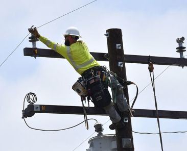 These underperforming groups may deliver AI-electric appeal. Here's why.