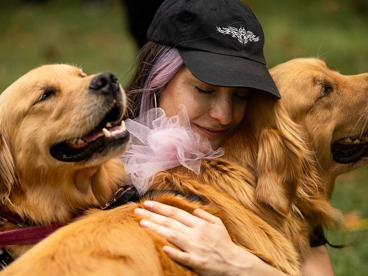 1208-Golden-Retriever-SUB-2