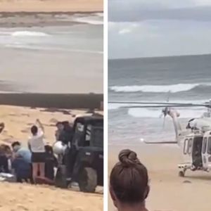 Bloody Shark Rampage in Australia With 3 Swimmers Attacked Over 24 Hours