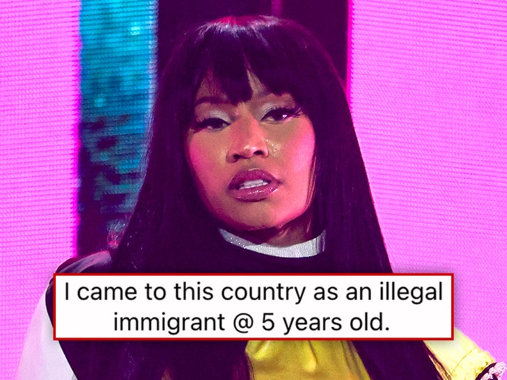 nicki minaj immigrant main getty facebook