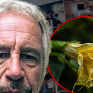 Jeffrey Epstein Emails Refer to Toxic 'Zombie Drug' Plants He Kept