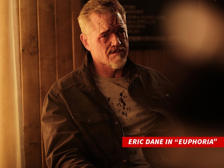 eric dane in euphoria everett