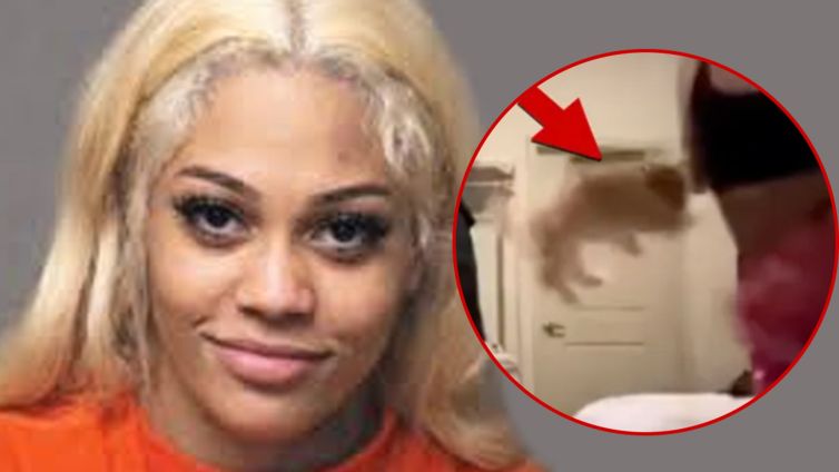 Streamer Aspen Kartier's Dog Getting Adoption Requests, Placed in Foster Home