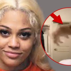 Streamer Aspen Kartier's Dog Getting Adoption Requests, Placed in Foster Home