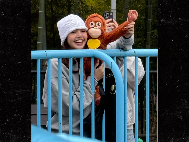 lisa punch monkey insta 3