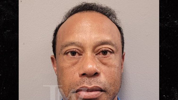 Tiger Woods Mug Shot Released After DUI Arrest
