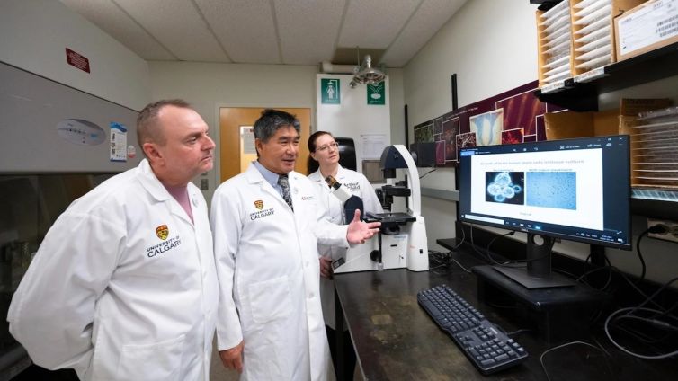 Aggressive brain cancer may respond to high-dose vitamin therapy, study suggests