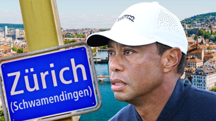 Tiger Woods' Private Plane Lands In Zurich After Vow To Get Treatment, DUI Arrest