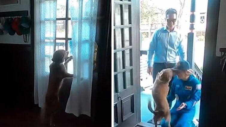 Astronaut Christina Koch’s Joyful Dog Reunion After Artemis II, on Video