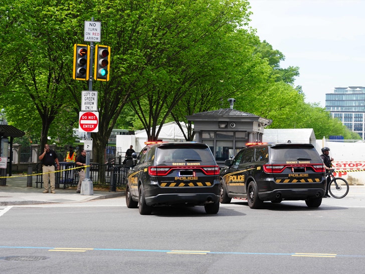 Man tries to jump fence at White House entrance gate zuma press 1
