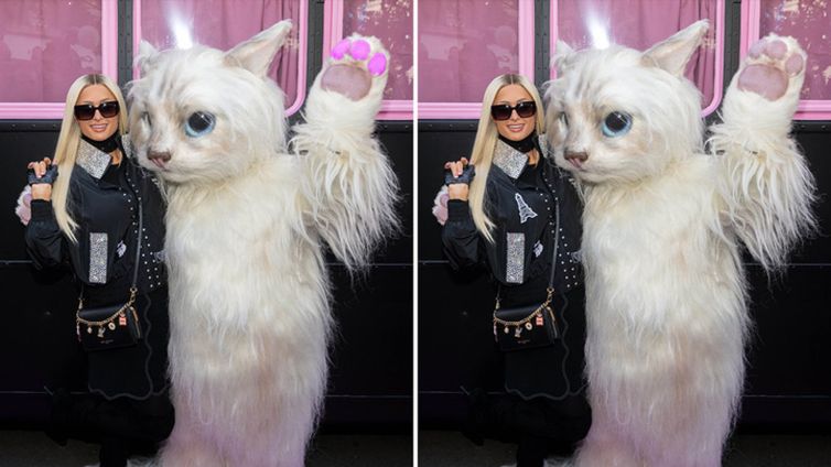 Paris Hilton's Pussycat Pic -- What's The Big Frigin' Difference?!