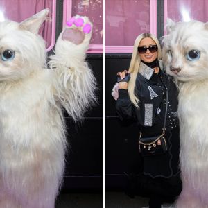 Paris Hilton's Pussycat Pic -- What's The Big Frigin' Difference?!