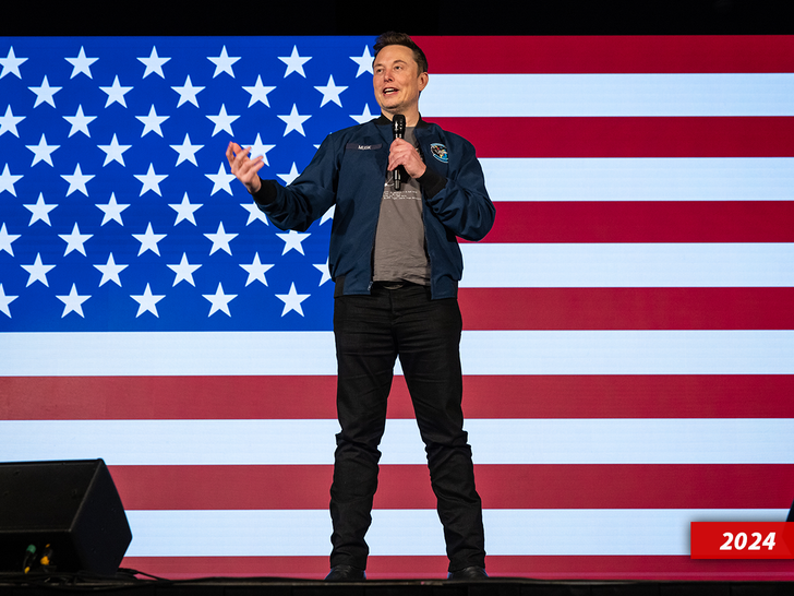 sub elon musk getty 2