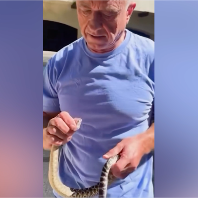 RFK Jr. responds to snake-handling critics with new video showing him wrangling a venomous rattlesnake