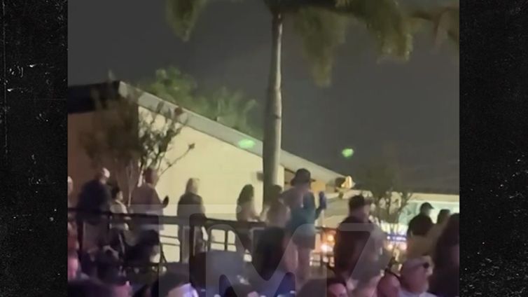 The Black Crowes Fans Leave Mid-Show After Band Rips U.S.A. Chant, on Video