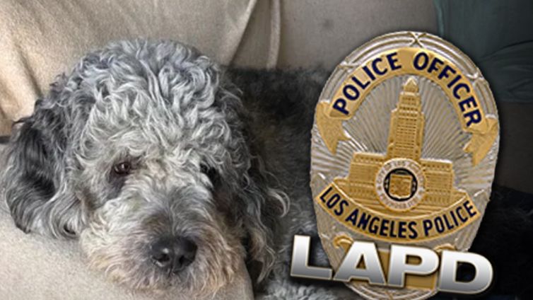 Family of Dog Killed by LAPD Will Sue if Not Handled 'Appropriately'