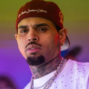 Chris Brown Ordered to Pay $13M Over Dog Attack
