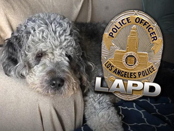 lapd dog shot 2