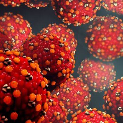 Measles-infected traveler may have exposed passengers at LAX and nearby hotel, health officials warn
