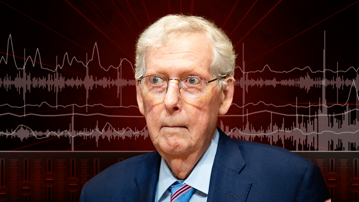 mitch-mcconnell-audio-1