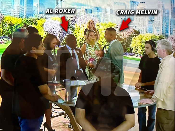 sub craig melvin al roker today show unblurred