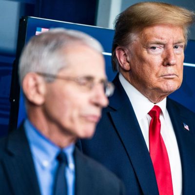 Inside Fauci's private diary: What he wrote about Trump, TV personalities and celebrities