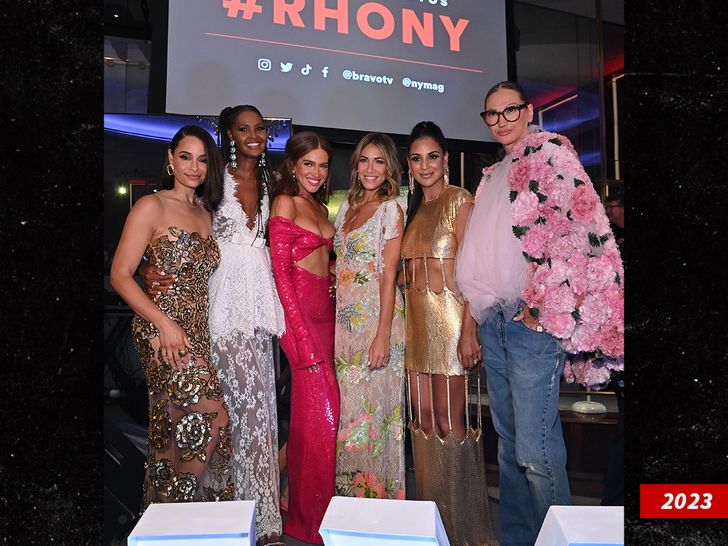 sub Sai De Silva, Ubah Hassan, Brynn Whitfield, Erin Lichy, Jessel Taank, Jenna Lyons real housewives new york getty