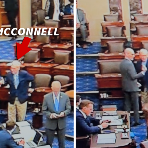 Mitch McConnell Repeatedly Confused on Senate Floor