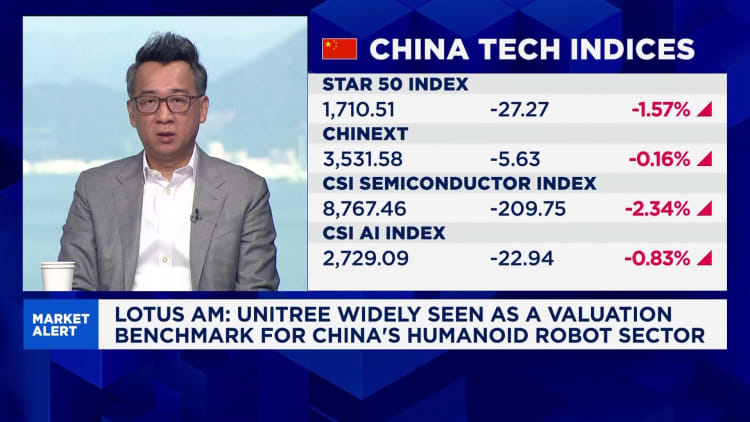 Are Unitree's humanoid robots worth the hype, or do investors just want in on the sector?