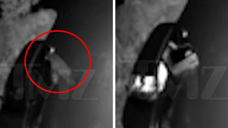 Montana Bear Breaks Into Car in Wild Video