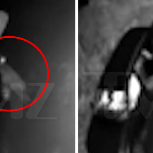 Montana Bear Breaks Into Car in Wild Video