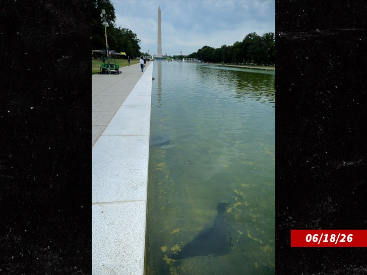 sub-reflecting-pool-getty-1