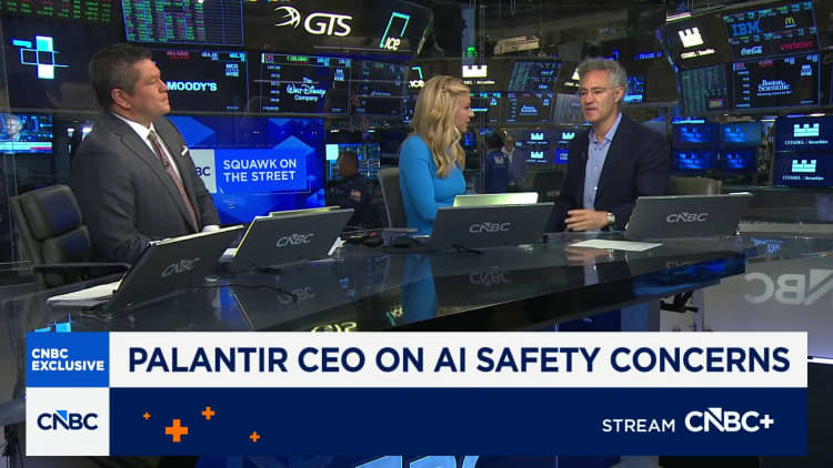 Palantir CEO Alex Karp: AI needs to have 'reasonable guidelines'
