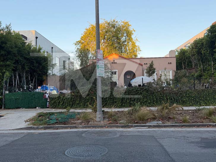 Los Angeles Infamous Trash House 9